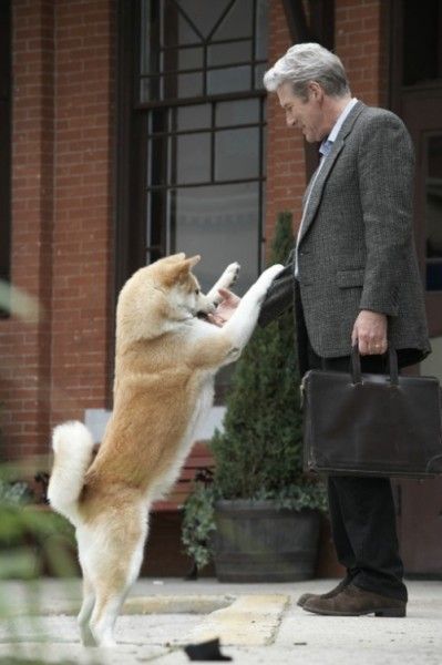 l-hachiko-a-dogs-story-01845dfc.jpg