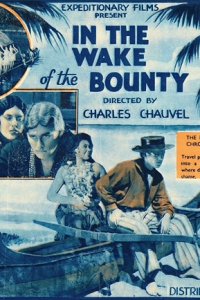 In the Wake of the Bounty