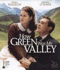 How Green Was My Valley