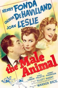 The Male Animal