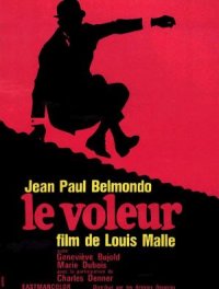 Le voleur