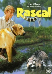 Rascal