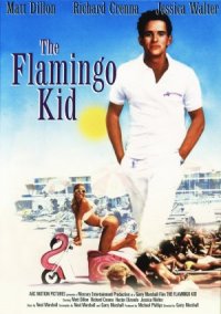 The Flamingo Kid