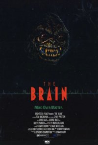 The Brain