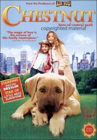 Chestnut: Hero of Central Park