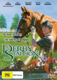 The Derby Stallion