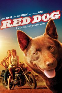 Red Dog