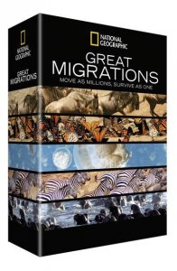 Great Migrations