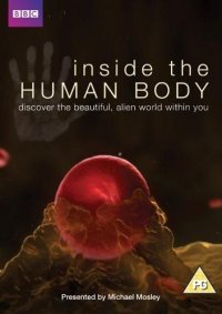 Inside the Human Body