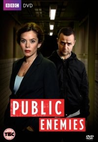 Public Enemies