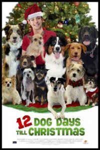 12 Dog Days of Christmas