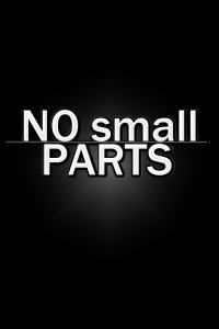 No Small Parts