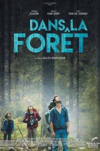 Dans la forêt