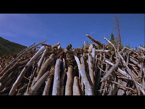Kunduzlar / Beavers - 1988 (Türkçe Alt Yazılı Belgesel) - HD 720p / Çeviri: gitarisyen
