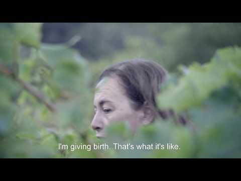 Wine Calling / Wine Calling - Le Vin se lève (2018) - Trailer (English Subs)