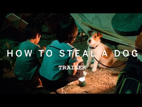 HOW TO STEAL A DOG Trailer | TIFF Kids 2016