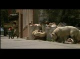 White Dog (1982) Theatrical Trailer