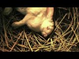 Rabbit Horror 3D - Trailer