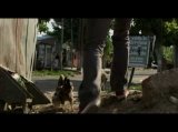 VILLA TRANQUILA Trailer (2007)