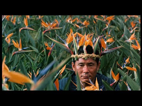 Boiling Point, Takeshi Kitano - Original Trailer