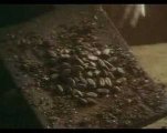 Chocolat Trailer