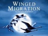 Winged Migration %28Le Peuple Migrateur%29: Trailer