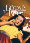 Beyond the Forest