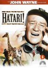 Hatari!