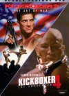 Kickboxer 4: The Aggressor