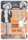 Talihsiz yavru fatos