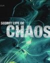 The Secret Life of Chaos