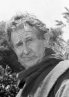 Doodles Weaver