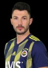 Tolgay Arslan