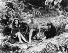Tarzan the Ape Man 672984