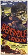 Werewolf of London 667629