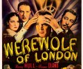 Werewolf of London