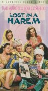 Lost in a Harem 259361