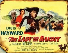The Lady and the Bandit 899978