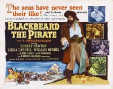 Blackbeard, the Pirate 877305