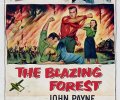 The Blazing Forest