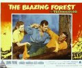 The Blazing Forest