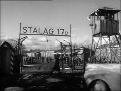 Stalag 17 97215