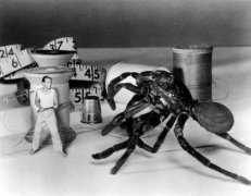 The Incredible Shrinking Man 31012