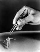 The Incredible Shrinking Man 31013