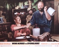 Wind Across the Everglades 928352