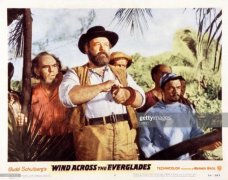 Wind Across the Everglades 928348