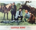 Cattle King