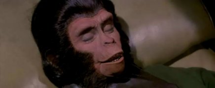 Escape from the Planet of the Apes 265632