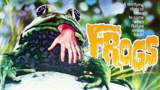 Frogs 759172