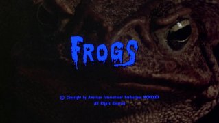 Frogs 759169